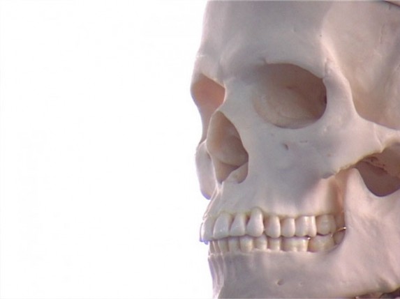 Donacija skeleta Medicinskoj školi