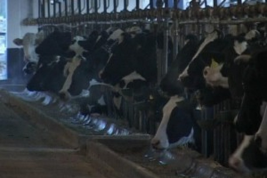 Kvalitetom i kvantitetom do veće konkurentnosti