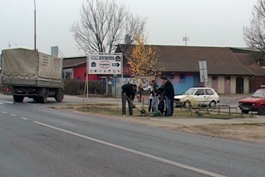 20 sadnica u Malom Bajmoku