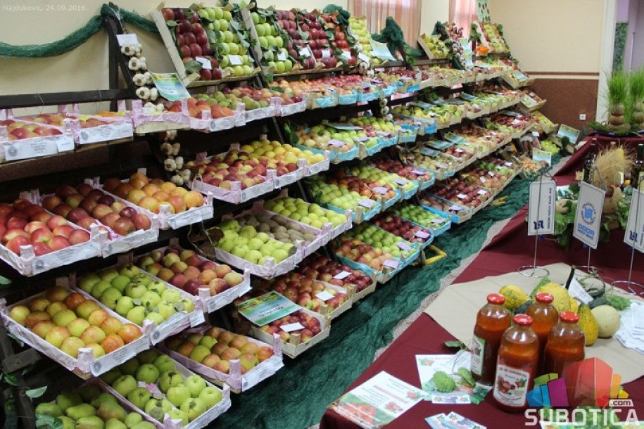 Za vikend 51. "Berbanski dani" u Hajdukovu
