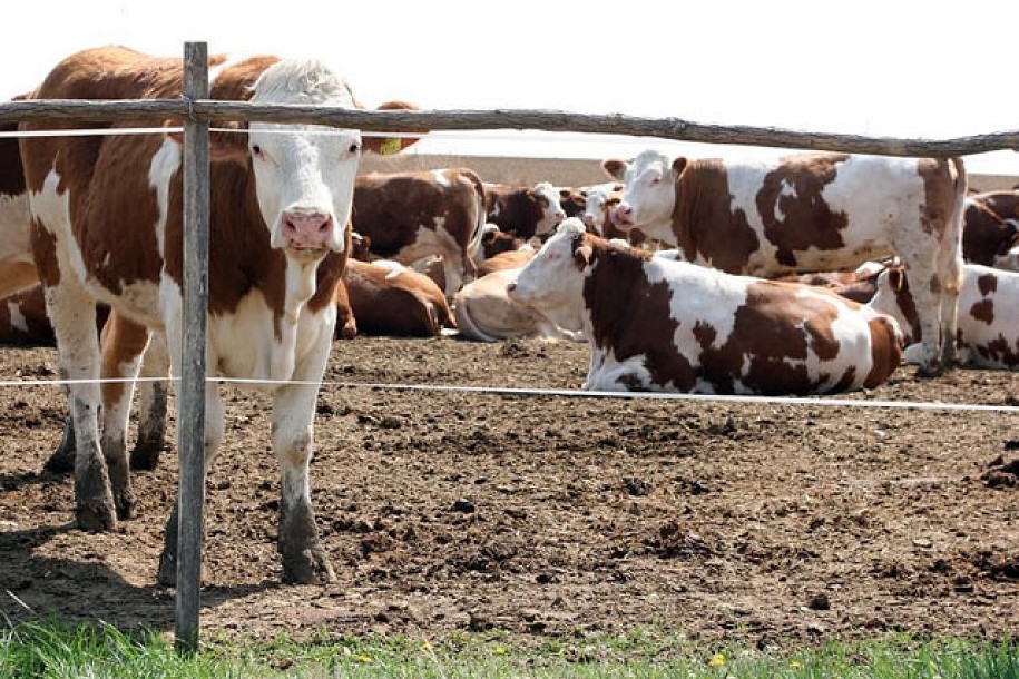 Saopštenje Republičke veterinarske inspekcije Severnobačkog upravnog okruga