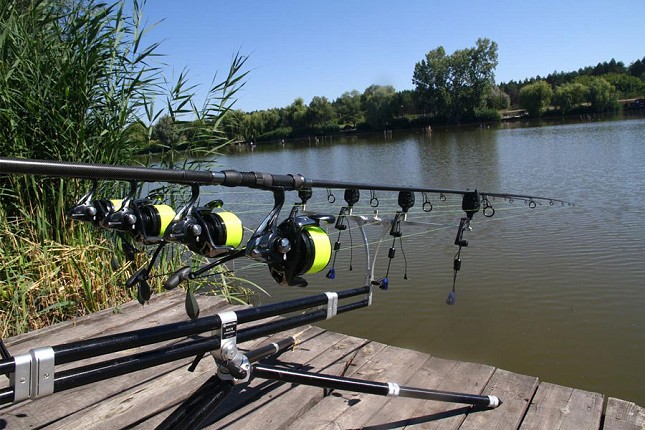 Na Tresetištu počelo međunarodno takmičenje u pecanju šarana