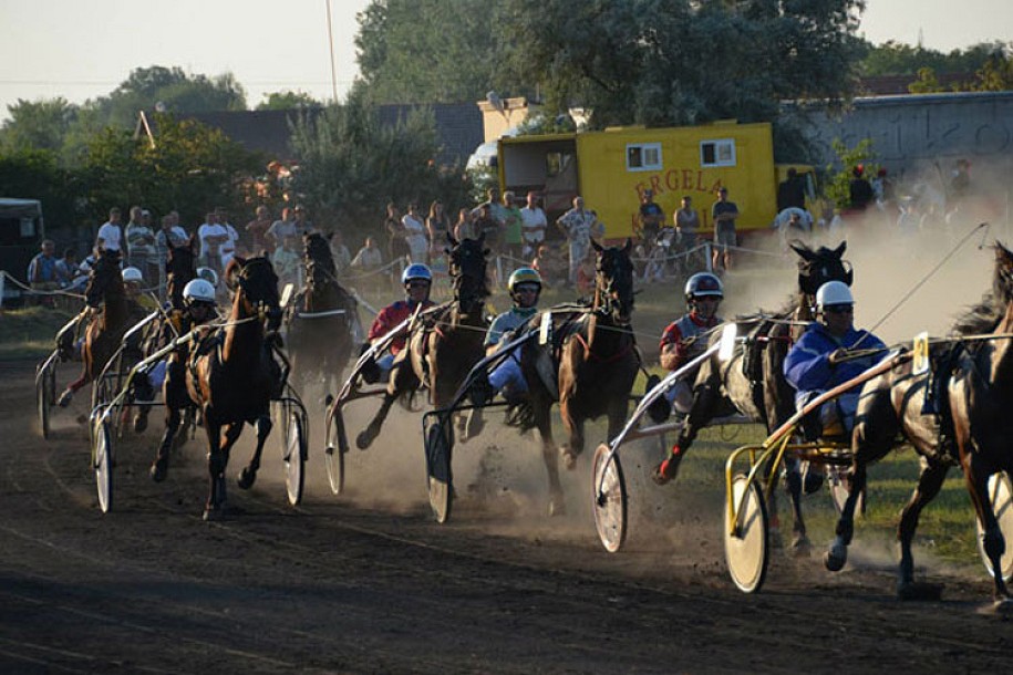 Održane konjičke trke "Dužijanca 2014"