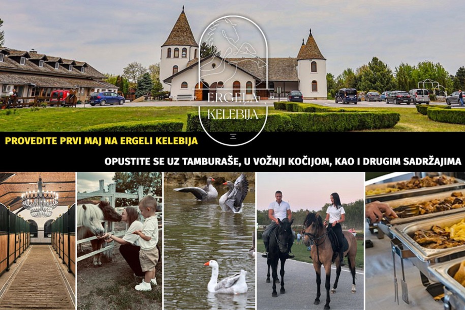 Konji, tamburaši i vojvođanski ukusi: Prvi maj na Ergeli Kelebija