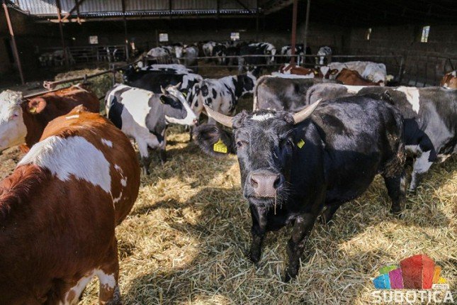Podsticaji za nabavku mašina i opreme u biljnoj i stočarskoj proizvodnji