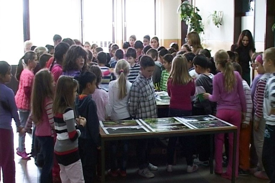 Izložba ekoloških radova i fotografija