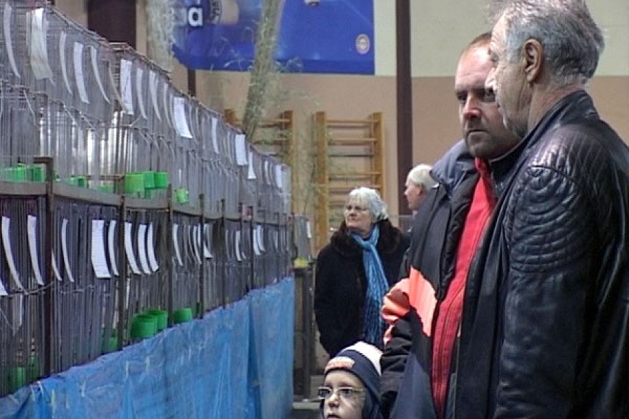Otvorena međunarodna izložba sitnih životinja