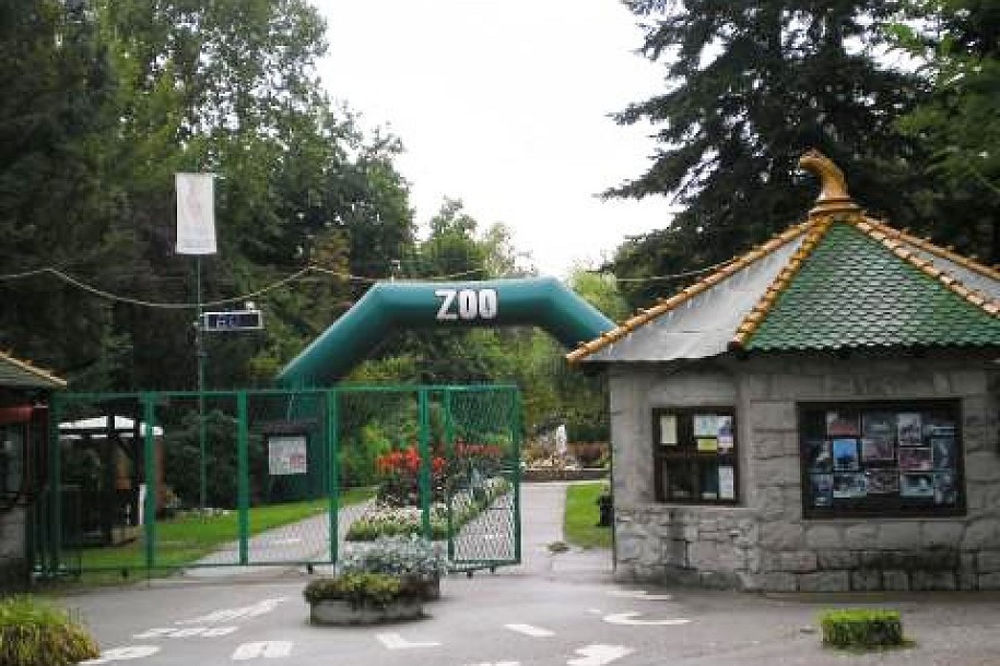 Zoo vrt na Paliću sarađuje sa Ministarstvom u zbrinjavanju ilegalno uveženih životinja