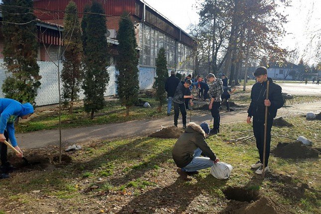 Udruženje "Zelena oaza" ozelenilo školska dvorišta