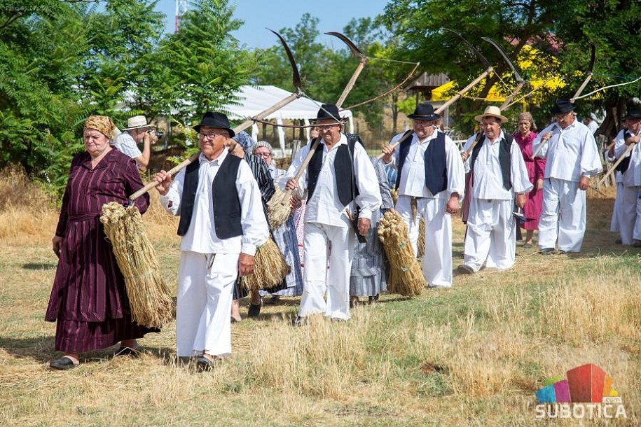 Bunjevački ris - deo proslave hleba od novog žita, srž bunjevačke tradicije