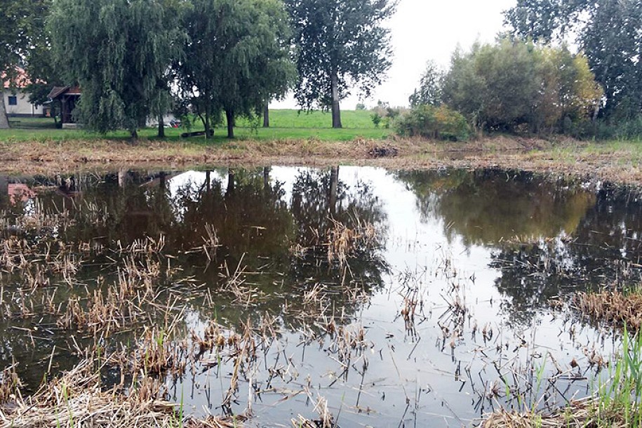 ZEP: Privodi se kraju prva faza projekta "Za lepši bunarić, vodice, szentku"