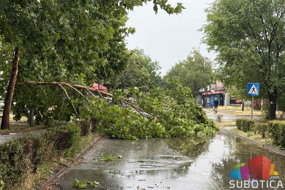 Jako nevreme pogodilo Suboticu, olujni vetar čupao drveće, hitne službe na terenu