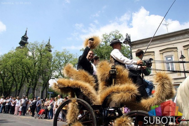 Da li je Dužijanca paganski običaj?