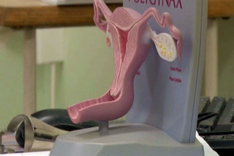 Evropska nedelja prevencije raka grlića materice