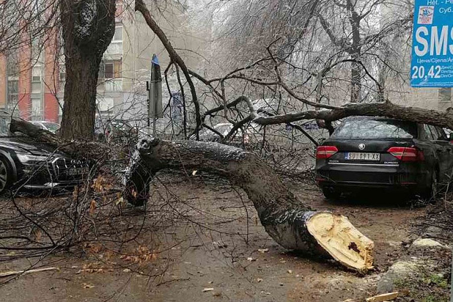 Stabla padaju kao kruške, radnici „Čistoće“ neprekidno na terenu