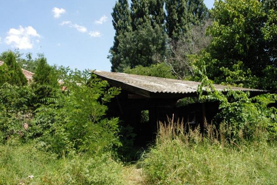 Ruglo u Dudovoj šumi