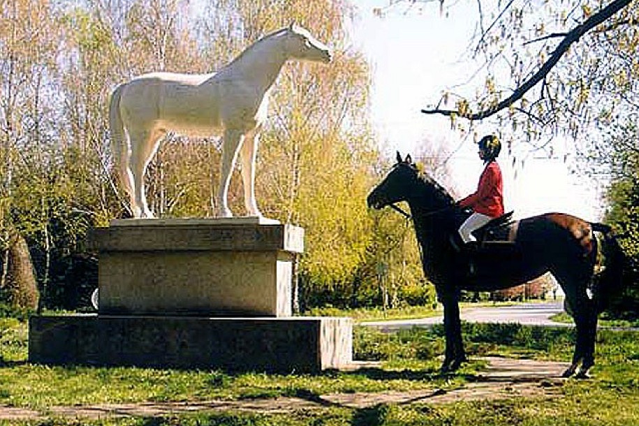 Zobnatica ponovo na konju