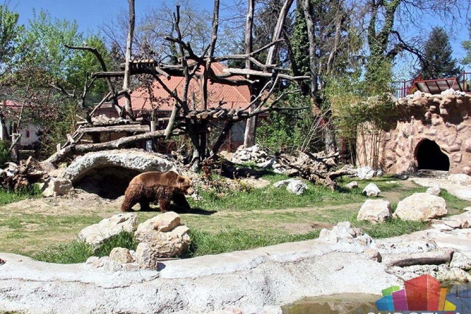 Otvorena volijera za mrkog medveda u Zoo vrtu Palić