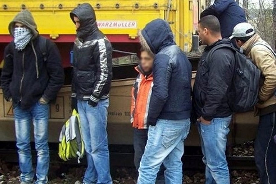 Sprečeno krijumčarenje 21 migranta kod Bačkih Vinograda