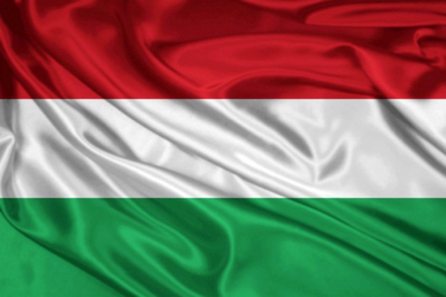 Mađarska diže ogradu od 4 metra na granici s Srbijom