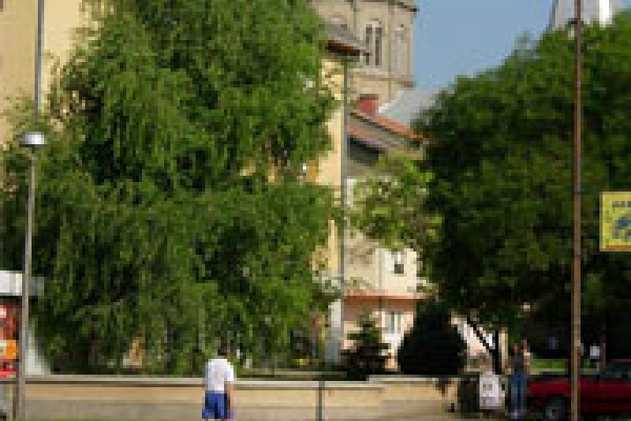 Novi trg u Čantaviru