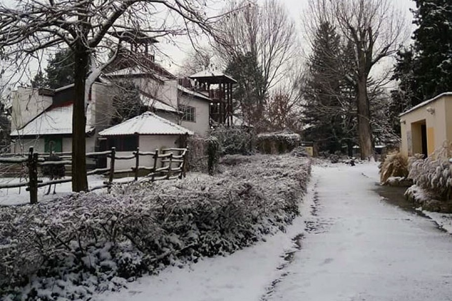 Foto konkurs Udruženja "ZaJedno" na temu "Lepota zime"