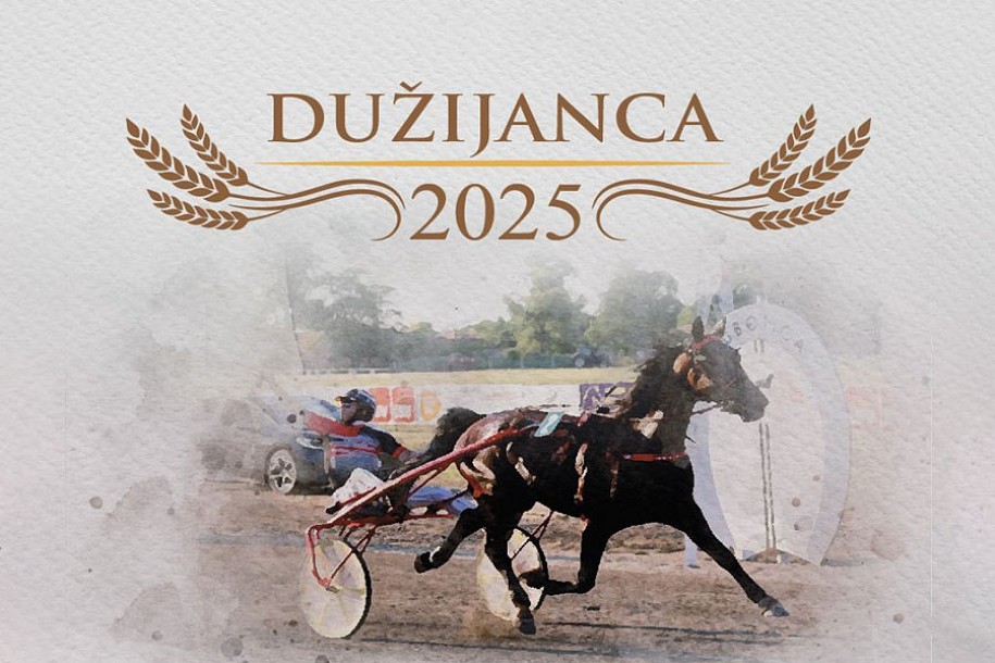 Konjički sport: Subotički hipodrom domaćin prestižne "Dužijance"