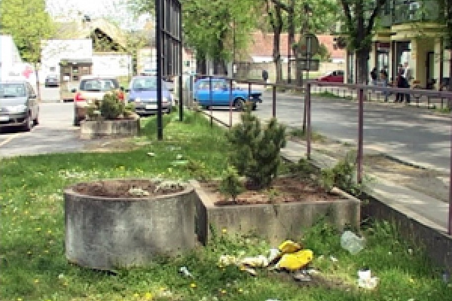 Uništene sadnice u tek uređenim žardinjerama