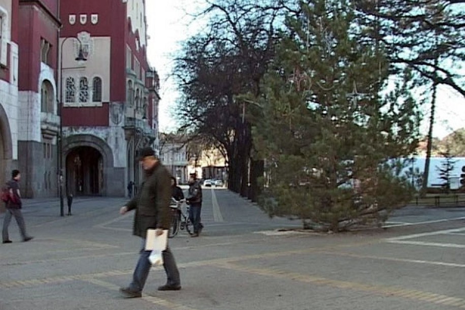 Kupujte jelke sa busenom