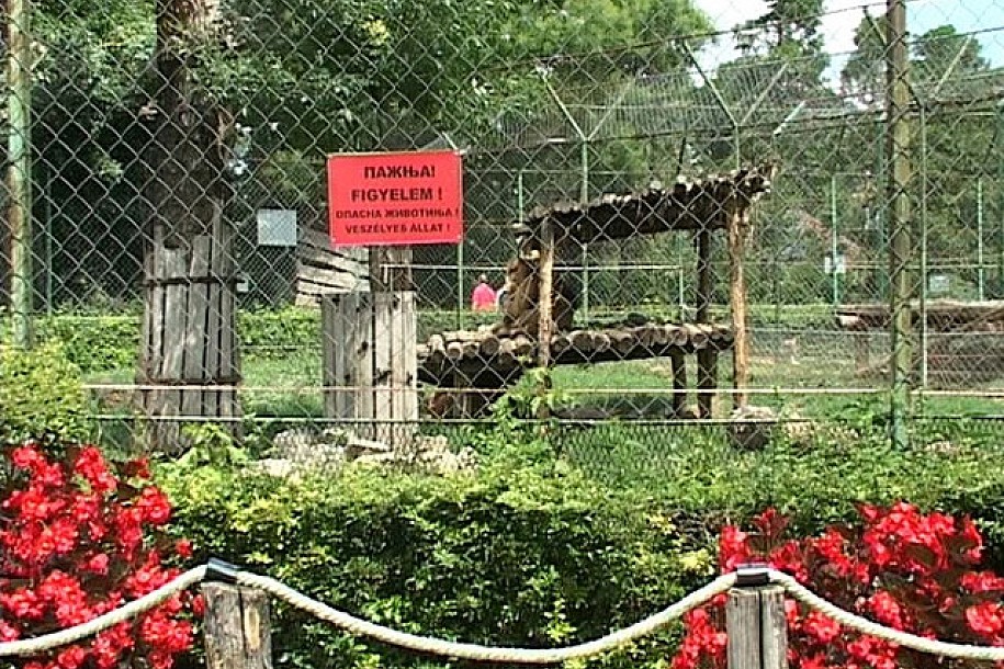Bezbednost u Zoološkom vrtu na prvom mestu