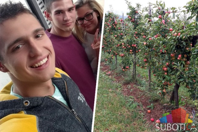 Da li je u Nemačkoj voće slađe?