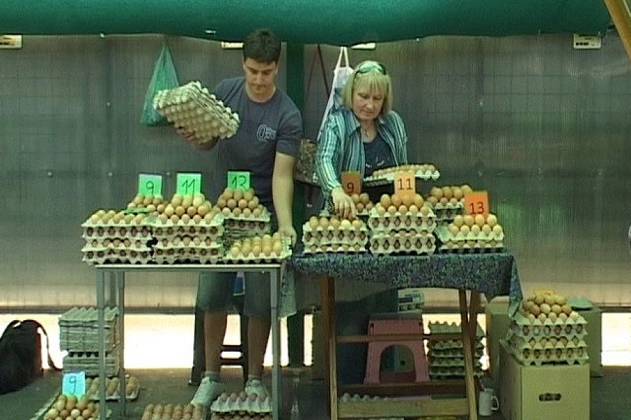 Prodaja jaja i ribe opala za 40 odsto