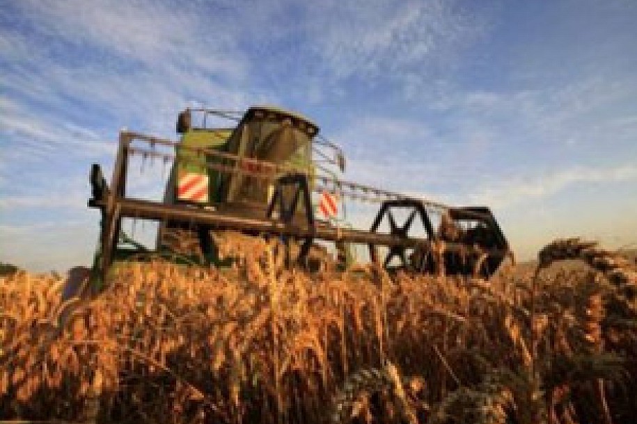 Oglas za prodaju "Agrokombinata"