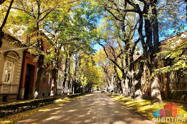 Šetnja stazama secesije u Ulici braće Radić