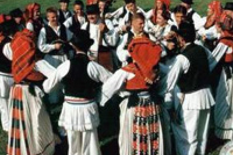 Bunjevci traže katedru za jezik