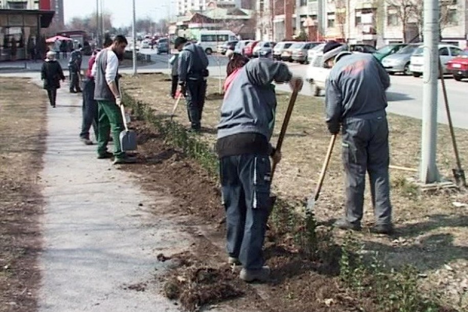 Ozelenjavanje počelo od Prozivke