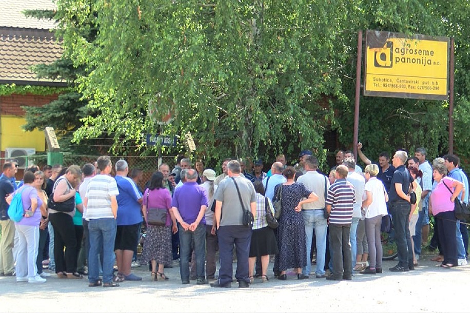 Radnici "Agrosemena" traže neisplaćene zarade