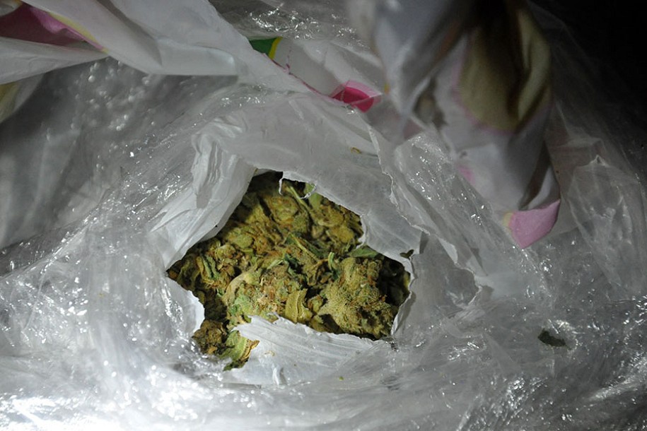 Uhapšene dve osobe iz okoline Subotice i zaplenjeno 4,6 kg marihuane