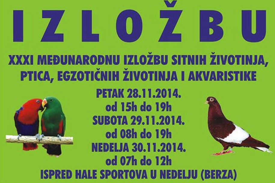 Izložba sitnih životinja i ptica za vikend