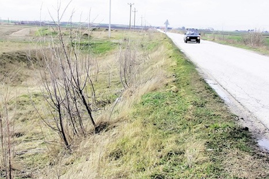 Vetrozaštitini pojasevi su prirodni snegobrani