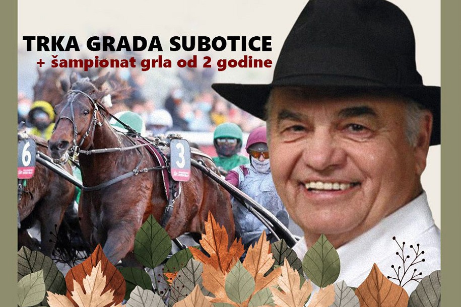 Konjičke trke: "Trka grada Subotice" i Državno prvenstvo za grla od dve godine