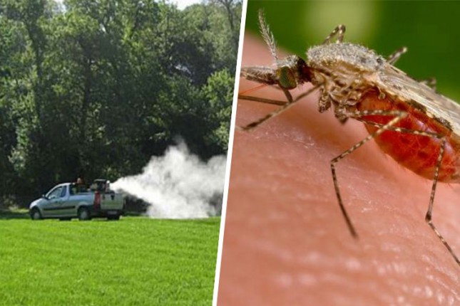 Suzbijanje komaraca u prigradskim naseljima od ponedeljka