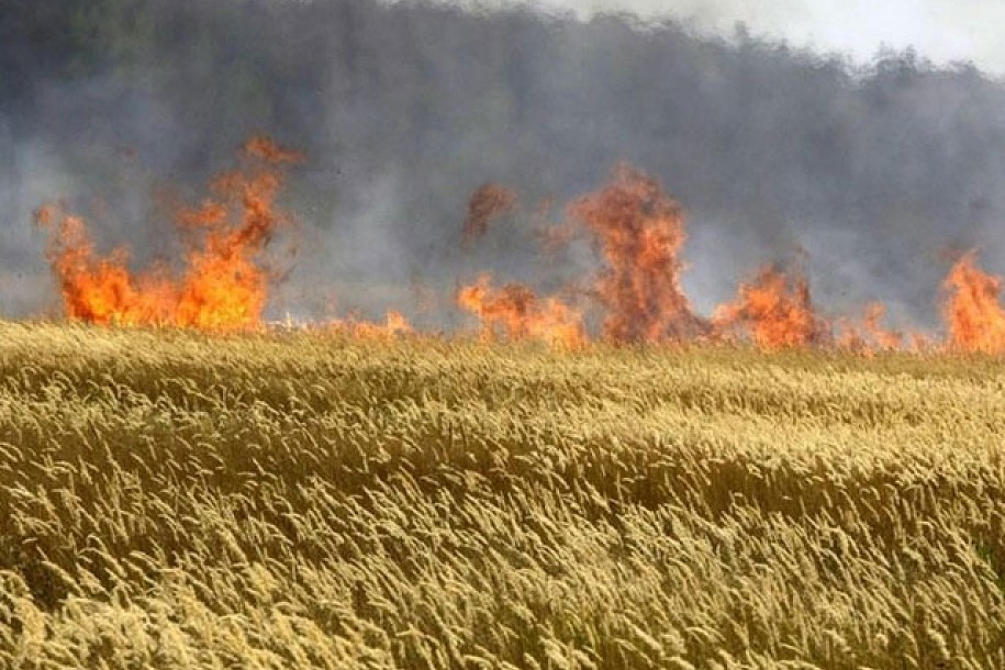 Paljenje strnjike kažnjivo zakonom
