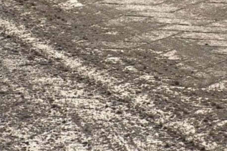 Poledica na putevima