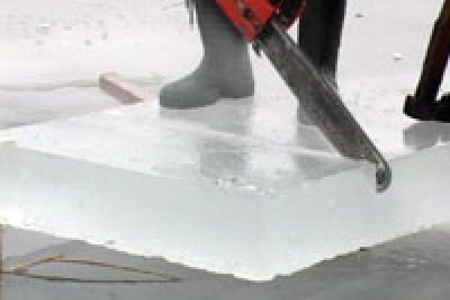 Prave se odušci na jezerima Palić i Ludoš