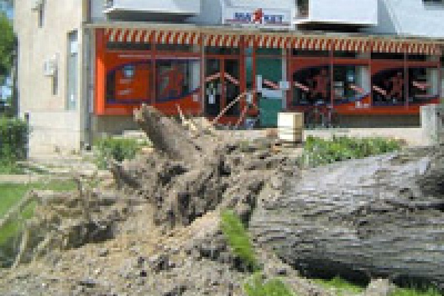 Tornado odneo život dečaka