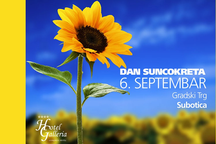 Rudolf Walther: Dan suncokreta