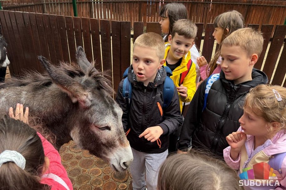 Palićki Zoo vrt dobio nove sadržaje za decu i porodice