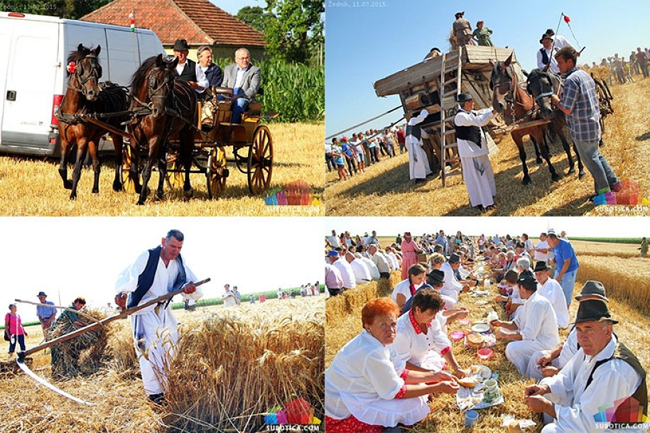 U Žedniku održano takmičenje risara