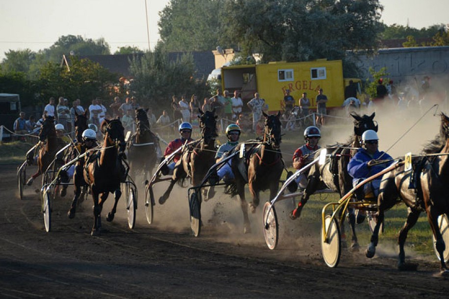 Završene konjičke trke "Dužijanca 2013"
